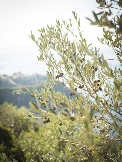 Corniglia