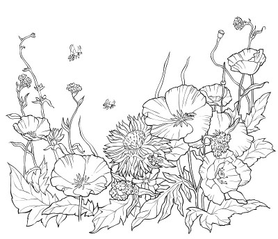 用手绘花着色书。黑白插图。