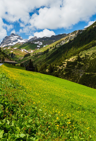 阿尔卑斯风景(Vorarlberg，奥地利)