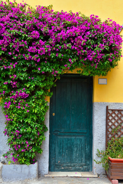 imia porto maurizio italy报道
