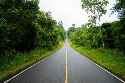 好崖国家公园的森林路