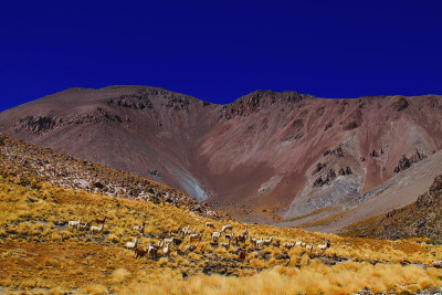 一群喇嘛站在一座非活火山前