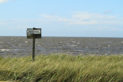Nordseedeiche