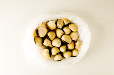 收集各种蛤壳