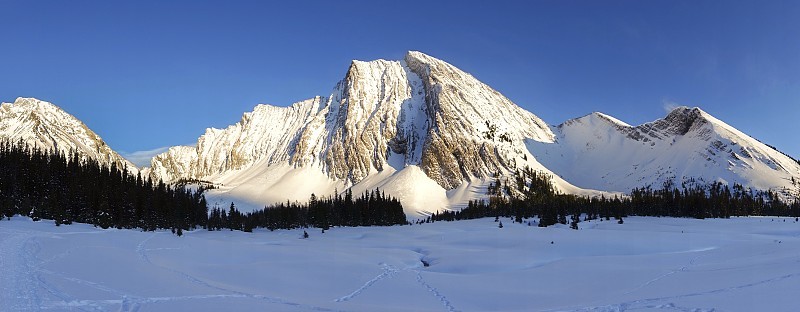 白雪覆盖的高山草甸雪山山峰在Kananasis国家