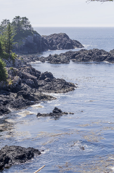 温哥华岛太平洋海岸