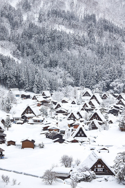 冬天的白川古村