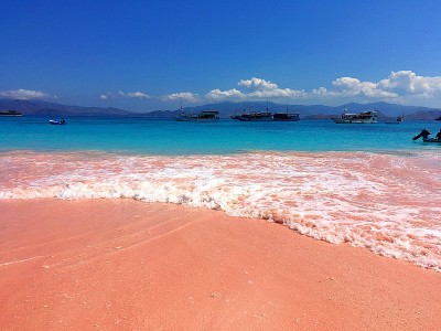 美丽的粉红色海滩和蓝色清澈的水来自科莫多岛(科莫多国家公园)，纳闽巴霍，弗洛雷斯，印度尼西亚