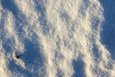 冬天雪积起来