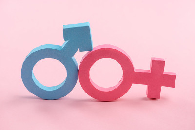 男性和女性的性别标志。蓝色和粉色3d纸艺术