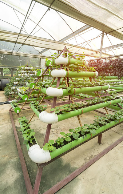 水培蔬菜种植系统的水管pvc。