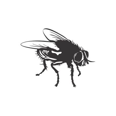 苍蝇图标剪影矢量插图