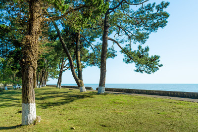 阿布哈兹黑海海岸线