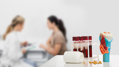 甲状腺解剖模型和血液在试管中分析激素在医生的桌子上，特写。内分泌科医生咨询内分泌疾病患者