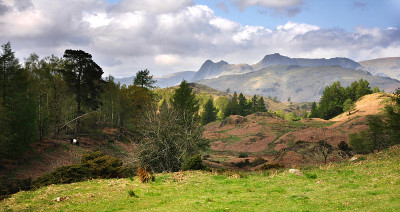 Langdale派克