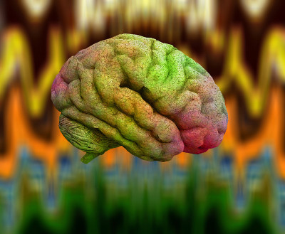迷幻的大脑