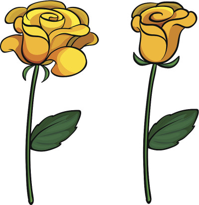两个可爱的花朵