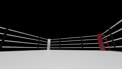 3 d拳击环。