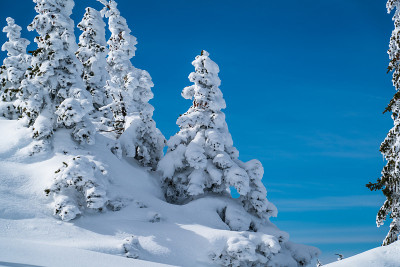 下雪的冬天的风景
