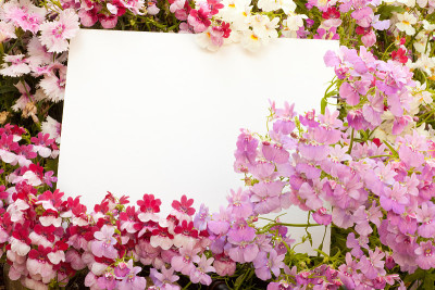 鲜花和Copyspace