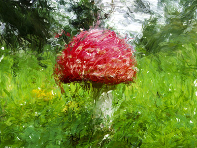 白毒伞蘑菇-高清数字插图