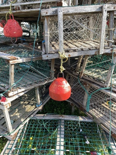 螃蟹陷阱