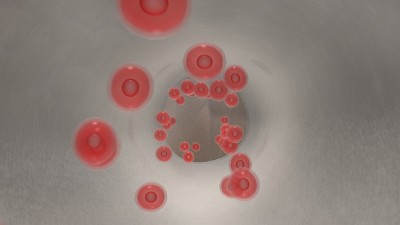 移植物中流动的红细胞的内窥镜图