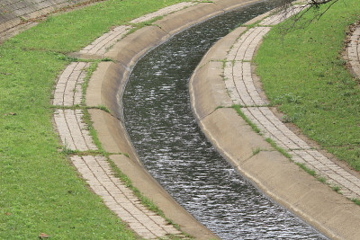 梅树坑，林村河