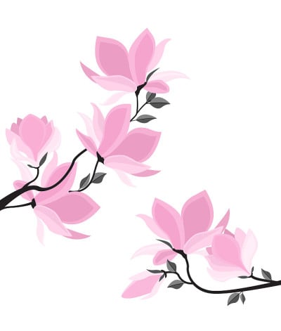 向量木兰花