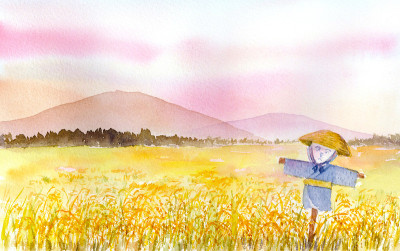 秋天稻田的水彩画。