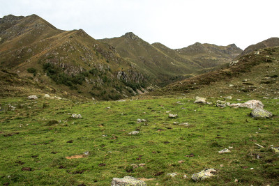 森林和山地马