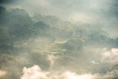 雾濛濛的早晨，托拉加传统村庄和稻田在雾濛濛的早晨从高地洛莱在托拉加北部。