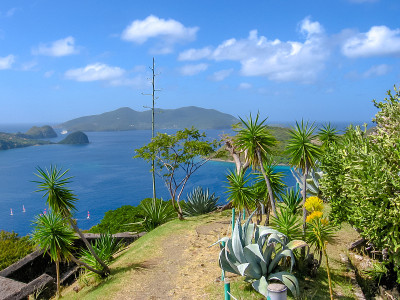 Les Saintes Fort Napoleon Lokout
