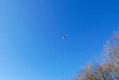 飞机在天空