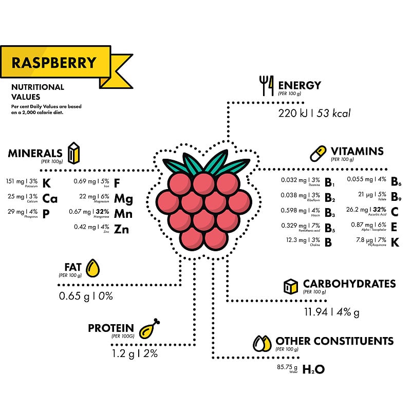 树莓-营养信息。健康的饮食习惯。