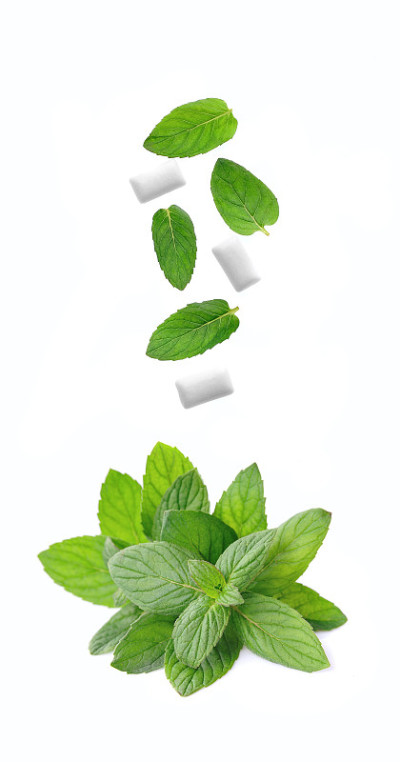薄荷叶和口香糖