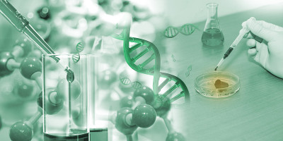科学背景设计与客体科学。
