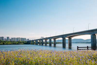 Misa大桥和南阳州汉江公园在韩国桑派区春天