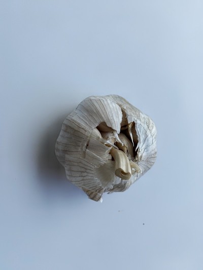 一串大蒜