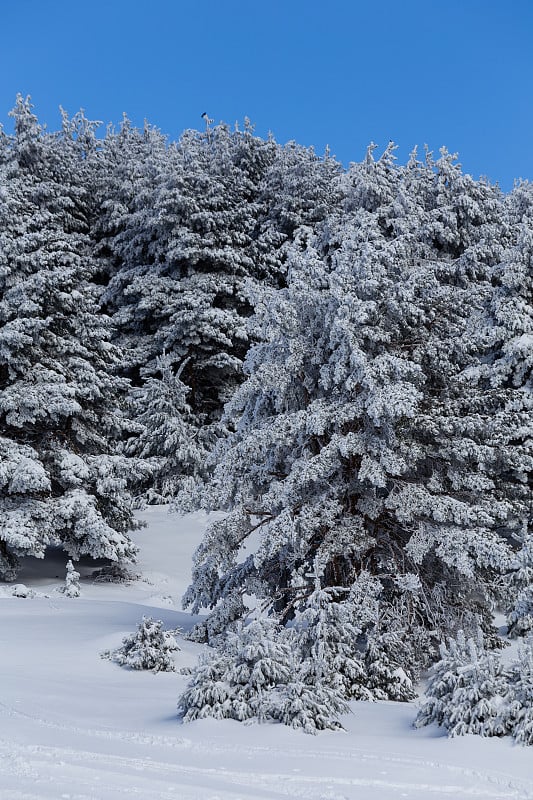 雪山景观马德里