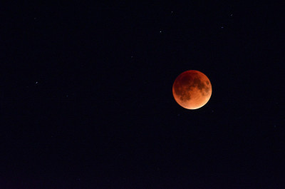 Bloodmoon