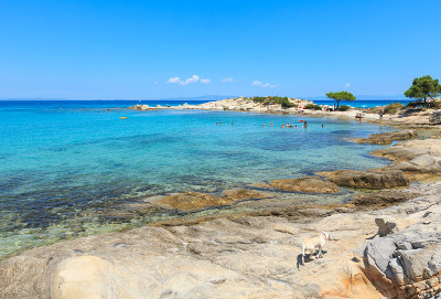 爱琴海海岸(希腊查尔基迪基)。