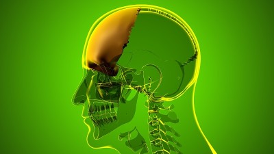 人体骨骼、颅骨、额骨解剖学的医学概念