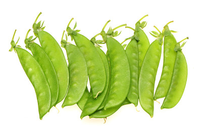 雪豌豆