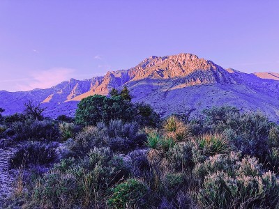 瓜达卢佩山