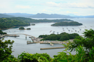从长岛的山上看到的渔港