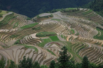 梯田隆基，龙胜