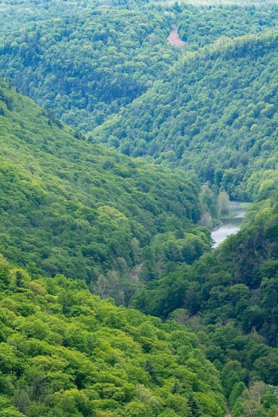 松溪峡谷山坡