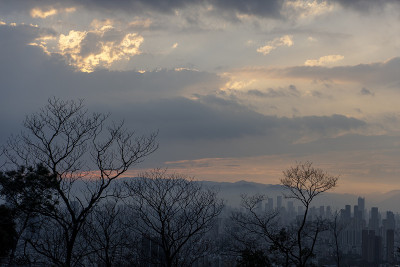 山上的城市风景