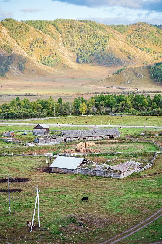 畜牧场在村中，俯视